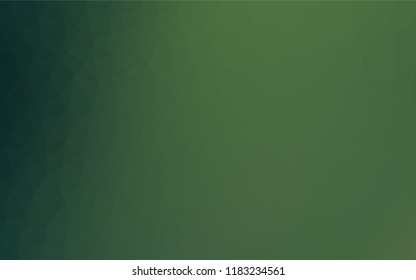 Light Green vector low poly cover. A completely new color illustration in a vague style. The textured pattern can be used for background.