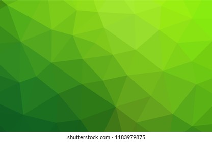 Light Green vector low poly layout. A completely new color illustration in a vague style. The template can be used as a background for cell phones.