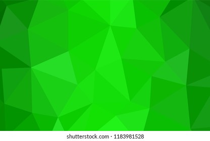 Light Green vector low poly texture. A sample with polygonal shapes. Brand new design for your business.