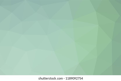 Light Green vector low poly layout. Geometric illustration in Origami style with gradient.  The textured pattern can be used for background.