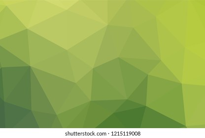 Light Green vector low poly texture. Triangular geometric sample with gradient.  Completely new template for your banner.