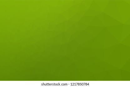 Light Green vector low poly cover. Glitter abstract illustration with an elegant design. The textured pattern can be used for background.