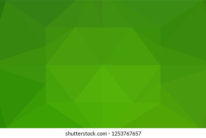 Light Green vector low poly texture. Colorful abstract illustration with gradient. The elegant pattern can be used as part of a brand book.
