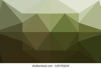 Light Green vector low poly layout. Modern geometrical abstract illustration with gradient. A new texture for your design.