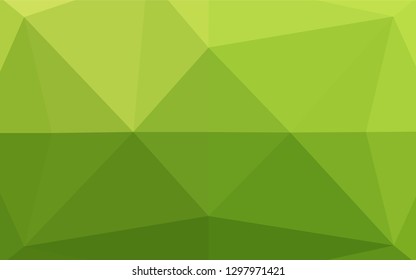 Light Green vector low poly texture. A completely new color illustration in a vague style. The textured pattern can be used for background.