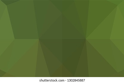 Light Green vector low poly texture. Geometric illustration in Origami style with gradient.  The elegant pattern can be used as part of a brand book.