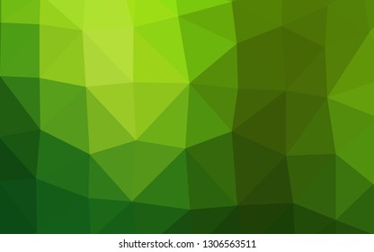 Light Green vector low poly texture. A sample with polygonal shapes. Elegant pattern for a brand book.