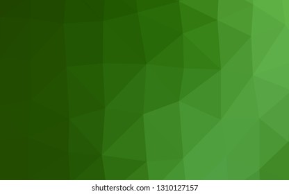 Light Green vector low poly texture. Brand new colorful illustration in with gradient. New texture for your design.