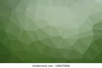 Light Green vector low poly layout. Shining illustration, which consist of triangles. Polygonal design for your web site.