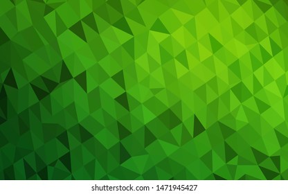 Light Green vector low poly layout. Colorful illustration in Origami style with gradient.  Textured pattern for background.