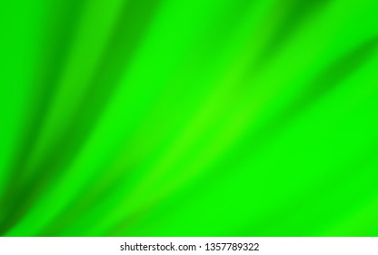 Light Green vector modern elegant layout. Glitter abstract illustration with gradient design. New style for your business design.