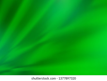 Light Green vector modern elegant background. Shining colorful illustration in a Brand new style. The best blurred design for your business.