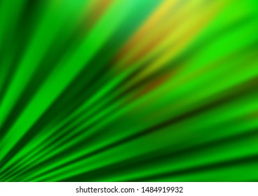 Light Green vector modern elegant background. An elegant bright illustration with gradient. The blurred design can be used for your web site.