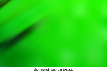 Light Green vector modern elegant backdrop. Abstract colorful illustration with gradient. Background for a cell phone.