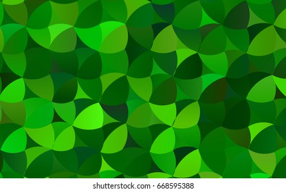 Light Green vector modern geometrical circle abstract background. Dotted texture template. Geometric pattern in halftone style with gradient. 