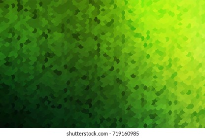 Light Green vector modern geometrical circle abstract background. Dotted texture template. Geometric pattern in halftone style with gradient. 