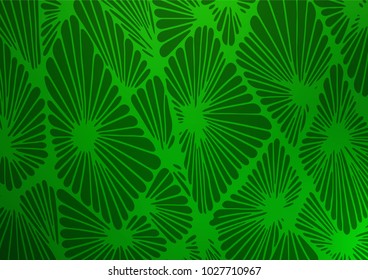 Light Green vector natural abstract pattern. Ethnic elegant natural pattern with gradient. The best blurred design for your business.