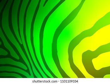 Light Green vector natural abstract template. Colorful abstract illustration with lines in Asian style. The pattern can be used for heads of websites and designs.