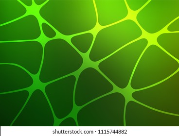 Light Green vector natural abstract texture. Colorful illustration in abstract style with doodles and Zen tangles. The template can be used as a background for cell phones.