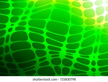 Light Green vector natural abstract template. An elegant bright illustration with lines in Natural style. A completely new design for your business.
