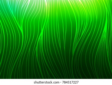Light Green vector natural abstract pattern. Doodles on blurred abstract background with gradient. The doodle design can be used for your web site.