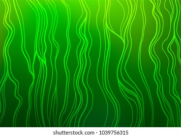 Light Green vector natural elegant template. Colorful abstract illustration with lines in Asian style. The elegant pattern can be used as a part of a brand book.