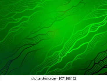 Light Green vector natural elegant background. Decorative shining illustration with doodles on abstract template. Hand painted design for web, leaflet, textile.