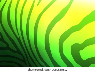 Light Green vector natural elegant template. Decorative shining illustration with doodles on abstract template. The pattern can be used for heads of websites and designs.