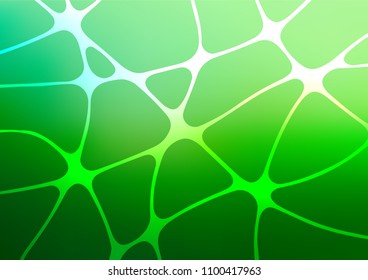 Light Green vector natural elegant template. Blurred decorative design in Indian style with Zen tangles. The elegant pattern can be used as a part of a brand book.
