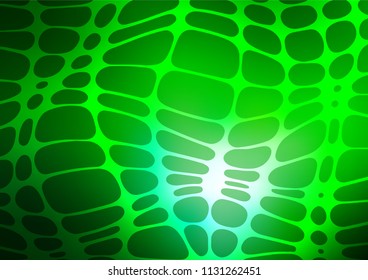 Light Green vector natural elegant template. Modern geometrical abstract illustration with doodles. The doodle design can be used for your web site.