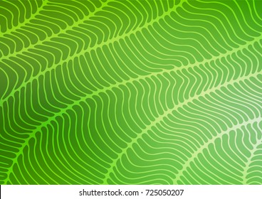 Light Green vector natural elegant background. Decorative shining illustration with doodles on abstract template. The completely new template can be used for your brand book.