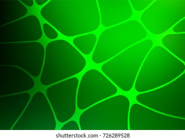 Light Green vector natural elegant background. Blurred decorative design in Indian style with Zen tangles. A completely new template for your business design.