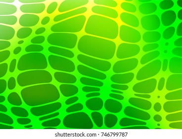 Light Green vector natural elegant pattern. Brand-new colored illustration in blurry style with doodles. A completely new template for your business design.