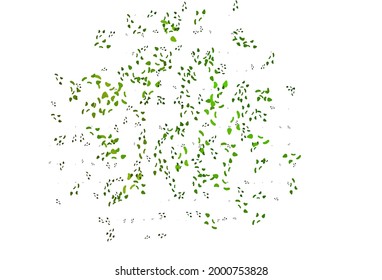 Light Green vector pattern with chaotic shapes. Decorative design in abstract style with random forms. Modern design for your business card.