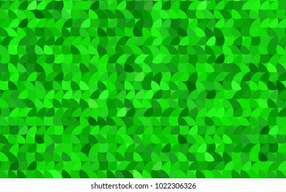 Light Green vector pattern with colored spheres. Geometric sample of repeating circles on white background in halftone style.