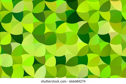 Light Green vector pattern with colored spheres. Geometric sample of repeating circles on white background in halftone style.
