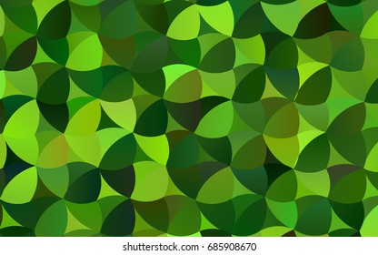 Light Green vector pattern with colored spheres. Geometric sample of repeating circles on white background in halftone style.