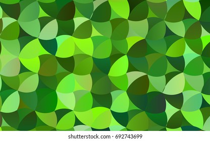 Light Green vector pattern with colored spheres. Geometric sample of repeating circles on white background in halftone style.