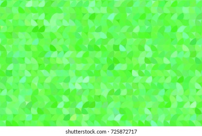 Light Green vector pattern with colored spheres. Geometric sample of repeating circles on white background in halftone style.