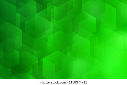 Light Green vector pattern with colorful hexagons. Illustration of colored hexagons on white surface. New template for your brand book.