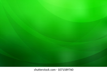 Light Green vector pattern with lava shapes. Glitter abstract illustration with wry lines. Textured wave pattern for backgrounds.