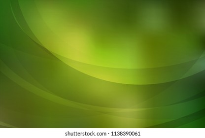 Light Green vector pattern with lava shapes. Glitter abstract illustration with wry lines. Pattern for your business design.