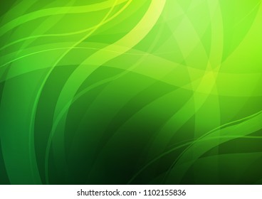 Light Green vector pattern with lines, ovals. A completely new color illustration in marble style. New composition for your brand book.