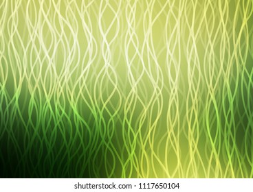 Light Green vector pattern with lines, ovals. Colorful illustration in abstract marble style with gradient. New composition for your brand book.