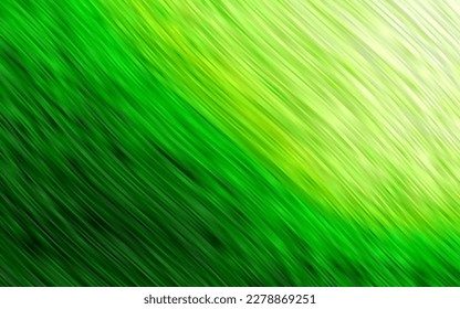 Light Green vector pattern with lines, ovals. Colorful abstract illustration with gradient lines. The best blurred design for your business.