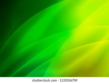 Light Green vector pattern with narrow lines. Shining colored illustration with narrow lines. The pattern can be used as ads, poster, banner for commercial.