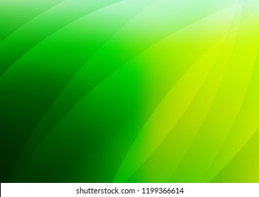 Light Green vector pattern with narrow lines. Blurred decorative design in simple style with lines. The pattern can be used for busines ad, booklets, leaflets