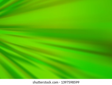 Light Green vector pattern with narrow lines. Decorative shining illustration with lines on abstract template. Backdrop for TV commercials.