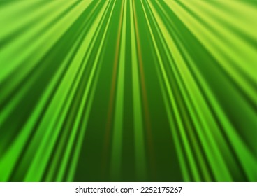 Light Green vector pattern with narrow lines. Lines on blurred abstract background with gradient. Pattern for business booklets, leaflets.