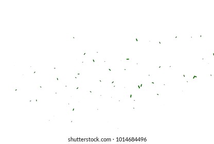 Light Green vector pattern with rounded lines. Glitter abstract illustration with colored sticks. The template can be used as a background.